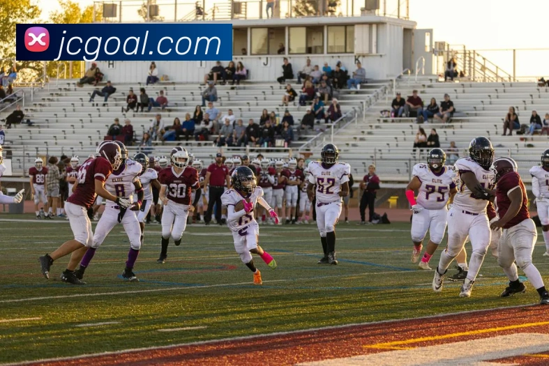 九游会官网发展历程